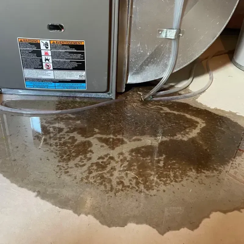 Appliance Leak Cleanup in Lawrence, KS